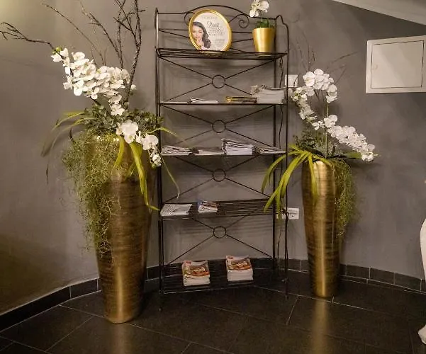 菩提树大道酒店 4*