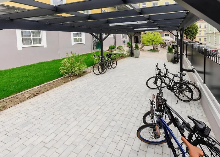 菩提树大道酒店 酒店